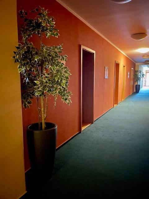 Hotel U Milina ภายนอก รูปภาพ